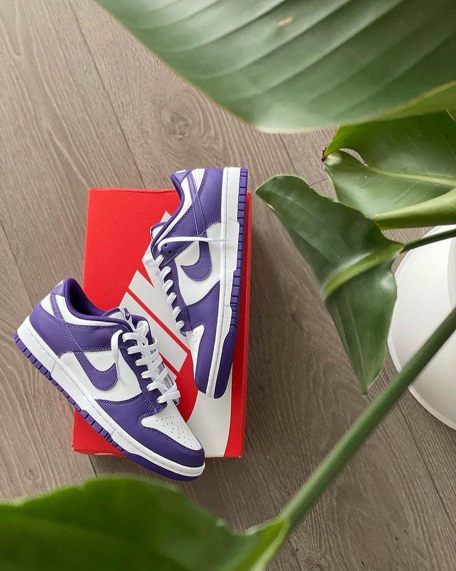 SB Dunk Purple Edition