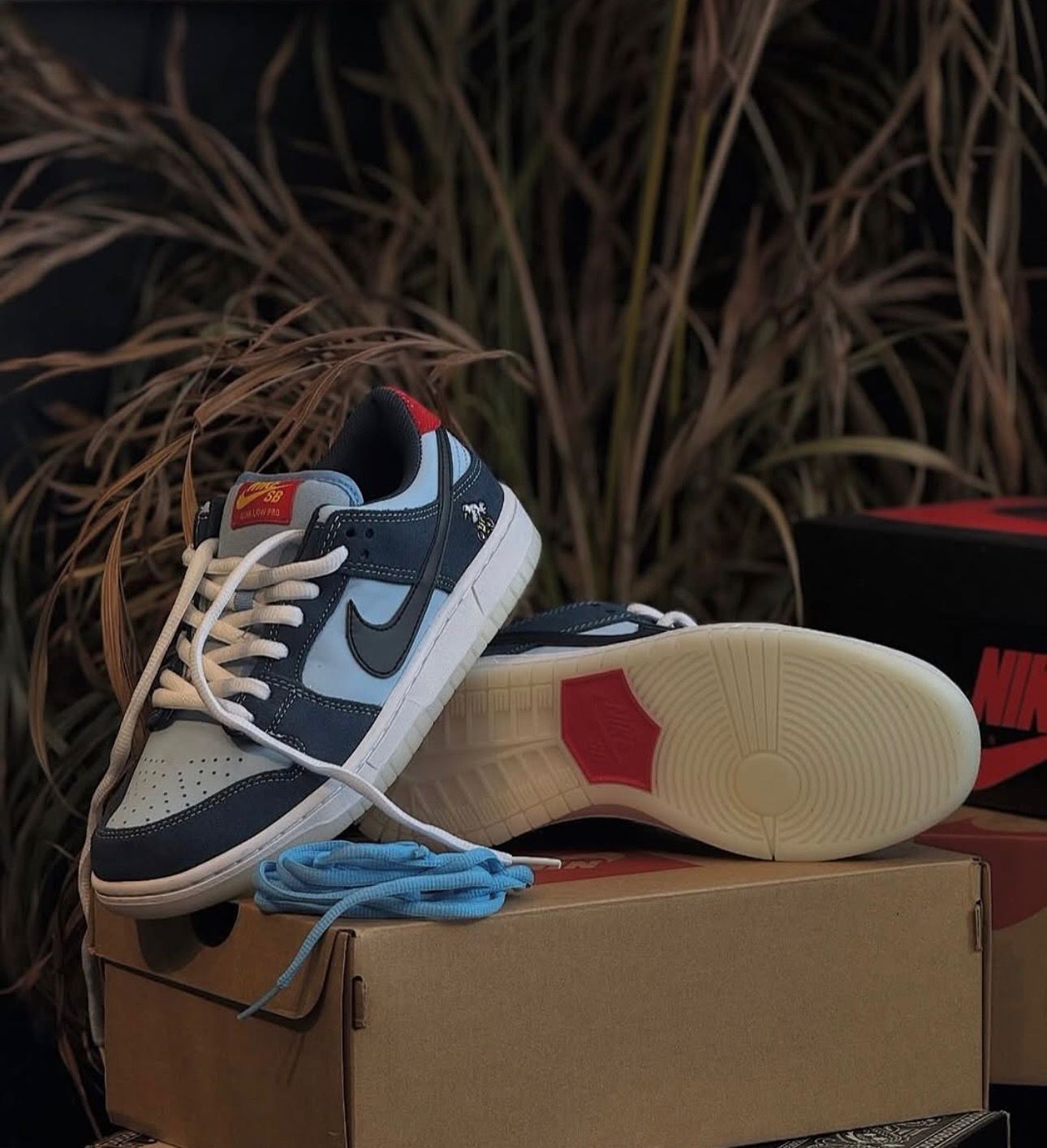 Nike Air Jordan SB Dunk Birds Sneakers