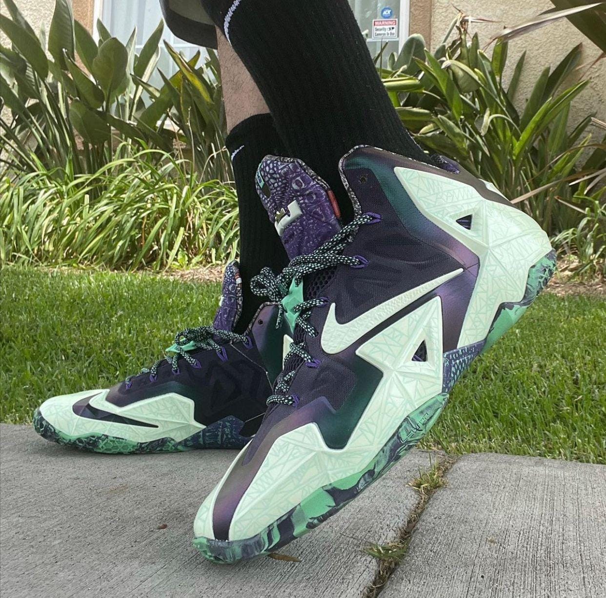 Branded LeBron 11 Gator King Sneakers