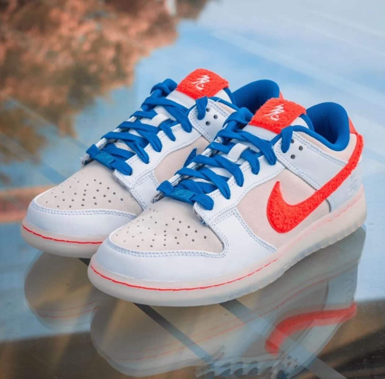 Branded SB Dunk Year of the Rabbit Sneakers