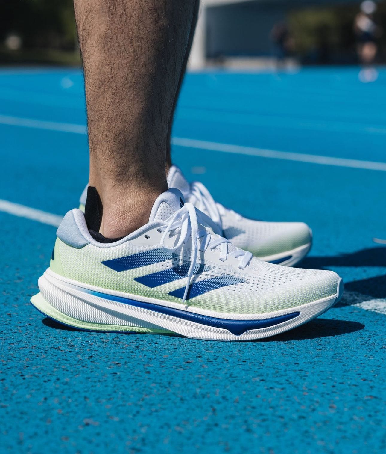 Branded Supernova Running Shoes