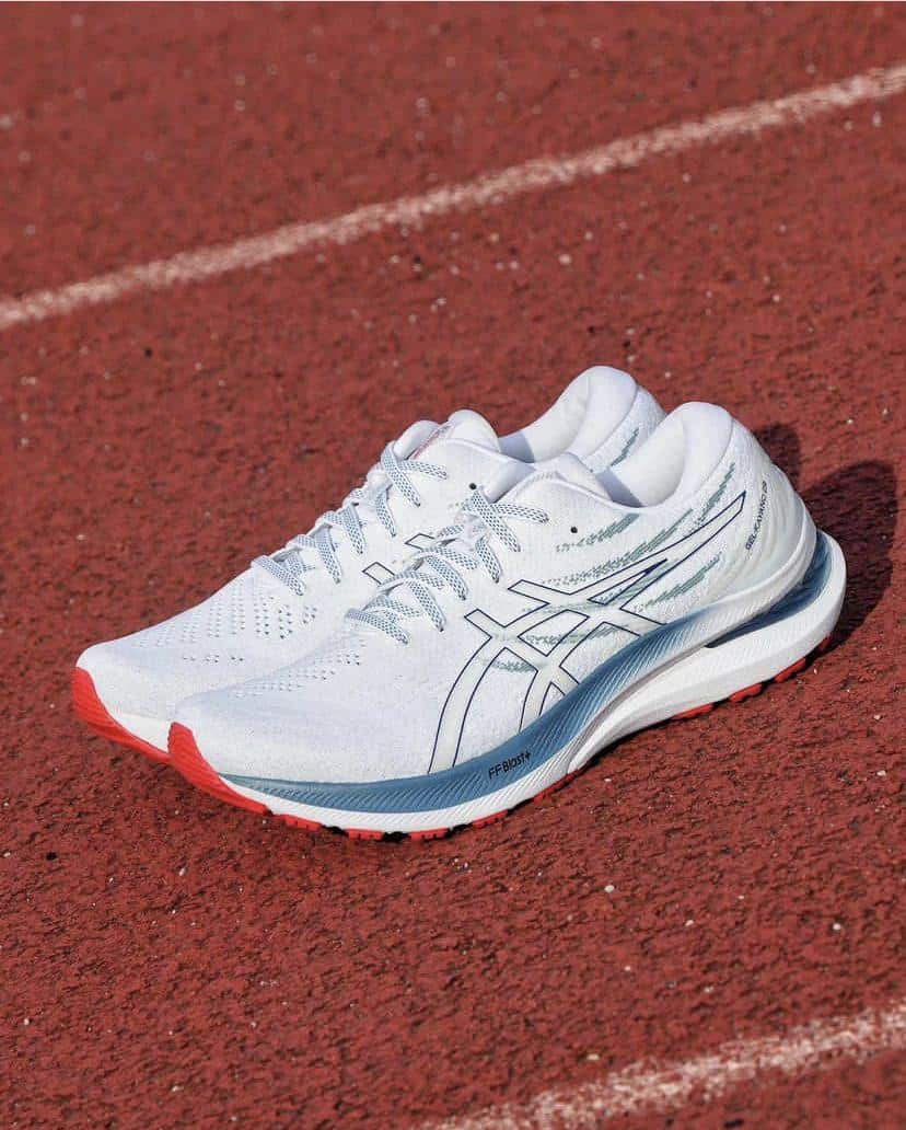 Asics Gel Kayano 29 White Running Shoes